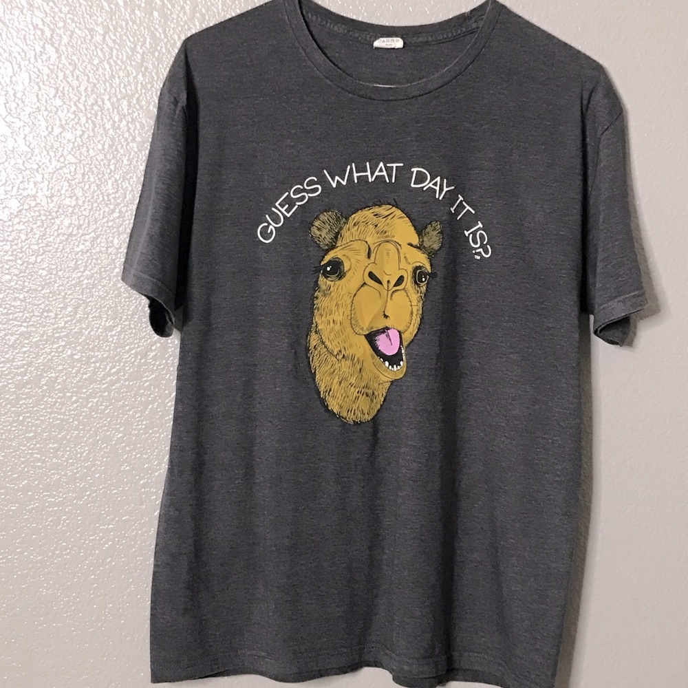 Delta Ringspun  Hump Day Graphic Mens T-